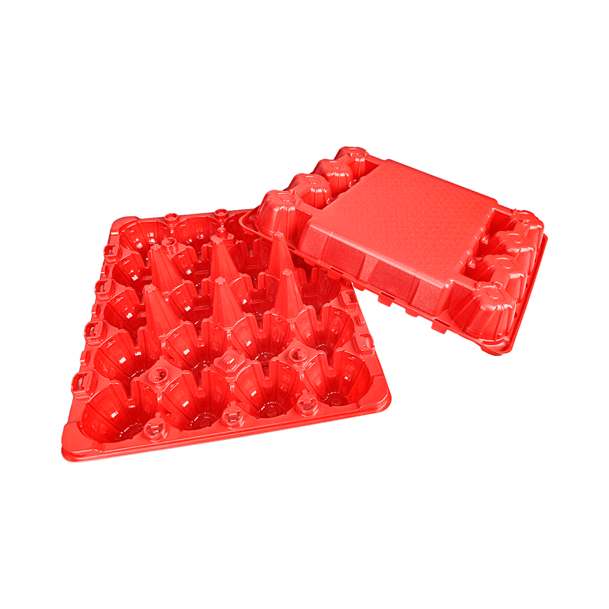 可重复使用的哑光红PET 20鸡蛋盒，适用于家庭牧场养鸡场，商业市场展示