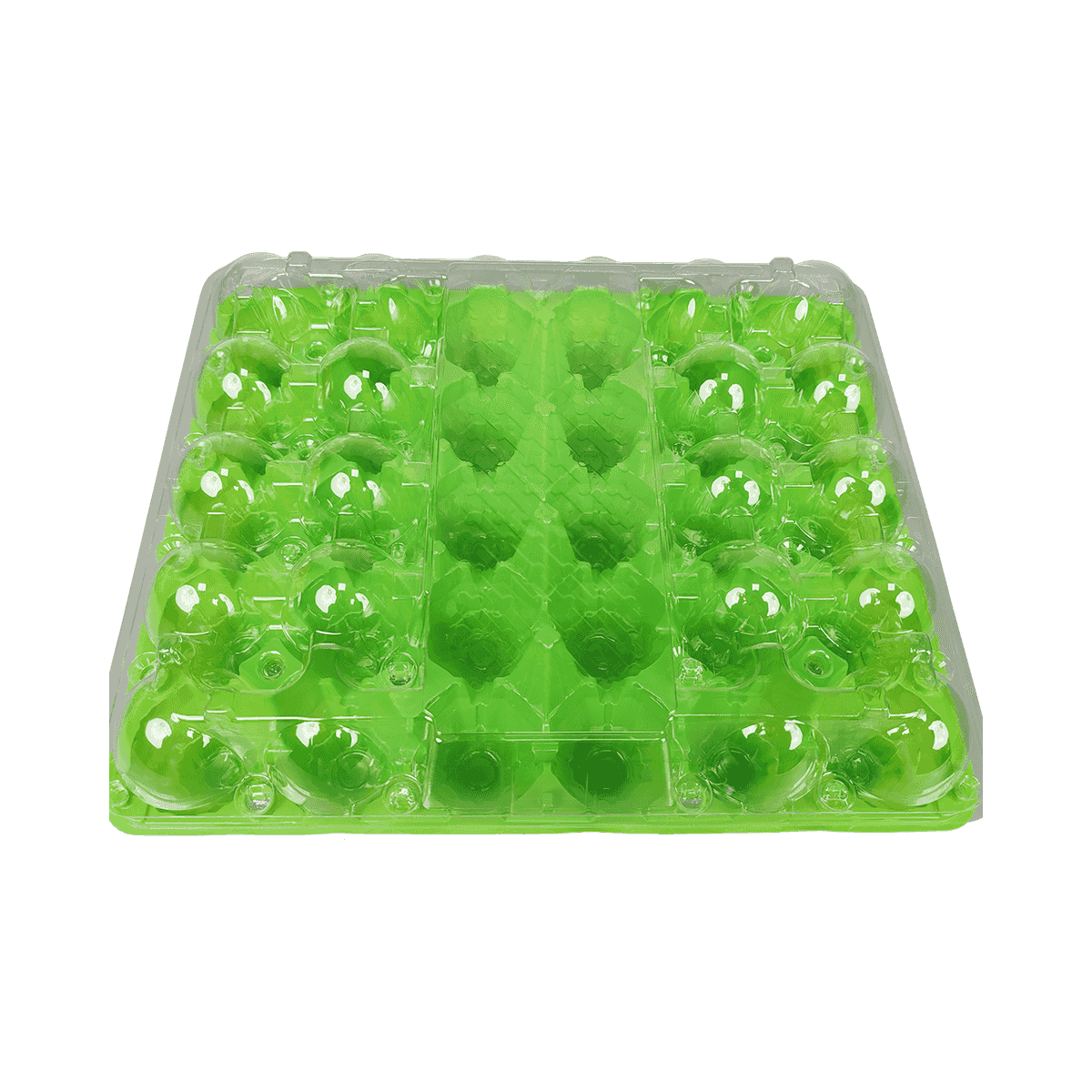 环保彩色底盘透明盖PET 30鸡蛋纸箱保护鸡蛋
