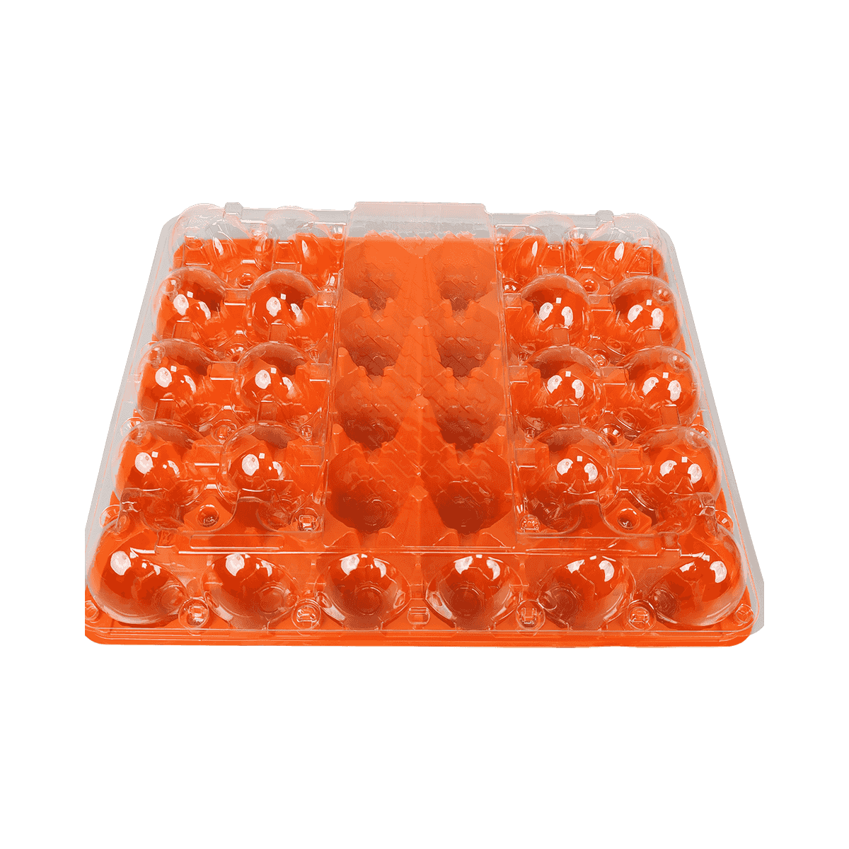 环保彩色底盘透明盖PET 30鸡蛋纸箱保护鸡蛋